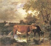 Cows in a landscape